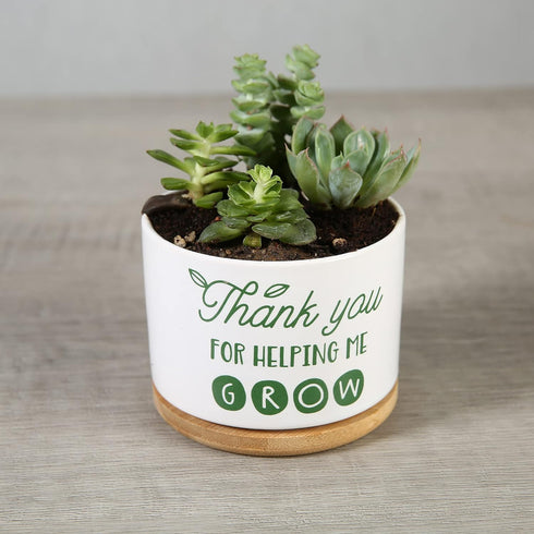 Ceramic Succulent Plant Pot - Teacher Appreciation Gift